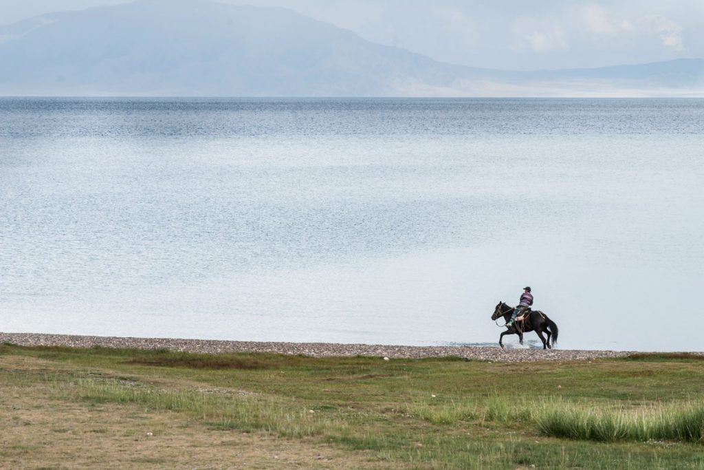 Kalorienverbrauch beim Reiten