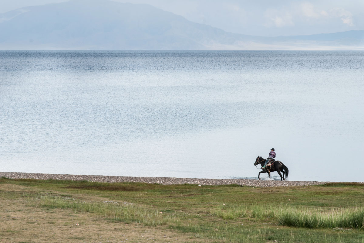 Titelbild zu „Kalorienverbrauch beim Reiten“