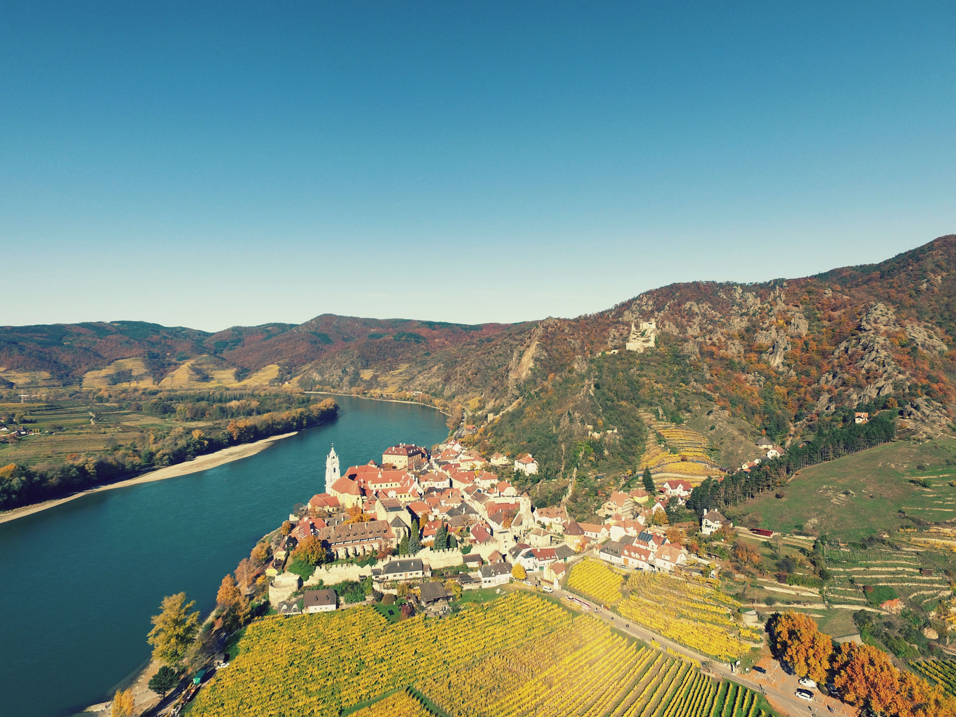 Titelbild zu „Domäne Wachau Erleben – Verkostung & Kellerführung“