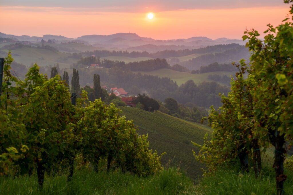 Nachhaltiger Tourismus: ein grüner Weg durch Rheinland-Pfalz