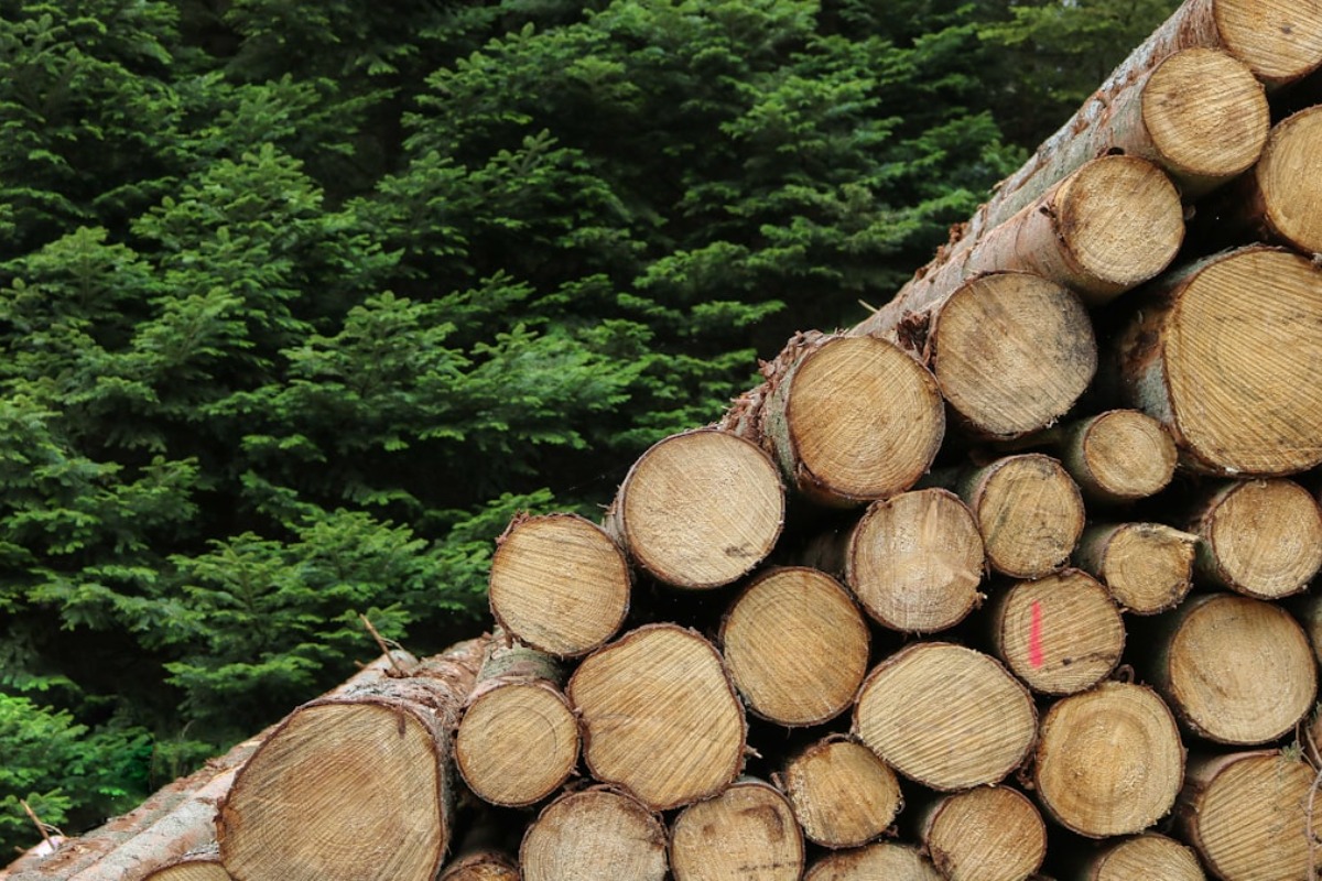 Titelbild zu „Internationale Holzmesse in Klagenfurt: Neue Trends und Produkte rund um Holz“